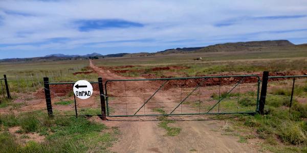 Gate to Vergelegen